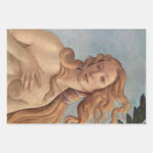 The Birth of Venus (detail) by Sandro Botticelli Inpakpapier Vel (Voorkant 3)