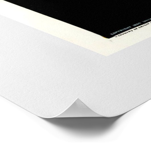 The Black Cat ( film poster) Poster (Hoek)