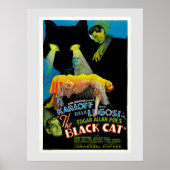 The Black Cat ( film poster) Poster (Voorkant)