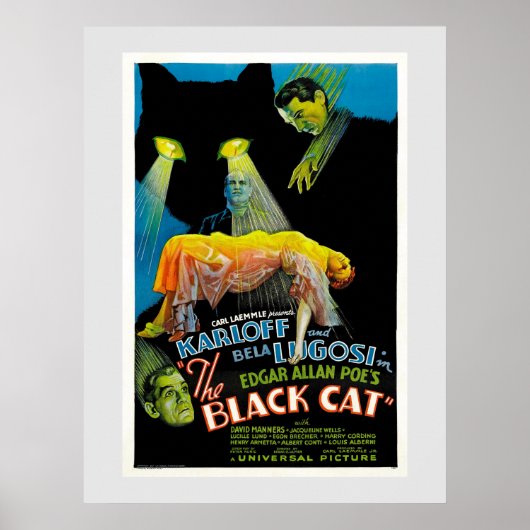 The Black Cat ( film poster) Poster (Voorkant)