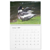 THE BLACK-HOODED DUCK 2026 CALENDAR KALENDER (Jan 2027)