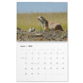 The Black-tailed Prairie Dog 2015 Calendar Kalender (Mar 2026)
