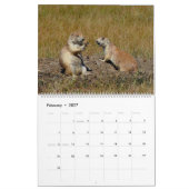 The Black-tailed Prairie Dog 2015 Calendar Kalender (Feb 2027)