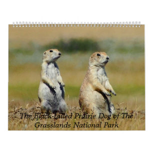 The Black-tailed Prairie Dog 2015 Calendar Kalender