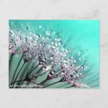 The Bloemenstilstand