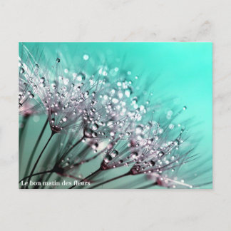 The Bloemenstilstand Aankondigingskaart