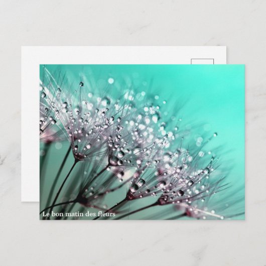 The Bloemenstilstand Aankondigingskaart (Voorkant / Achterkant)