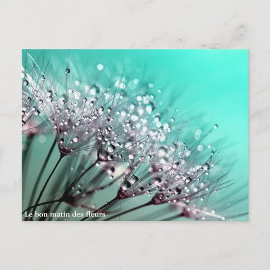 The Bloemenstilstand Aankondigingskaart (Voorkant)