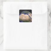 The Blue Marble Next Generation Earth 3 Vierkante Sticker (Tas)