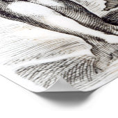 The Borghese Venus, c.1653 Poster (Hoek)