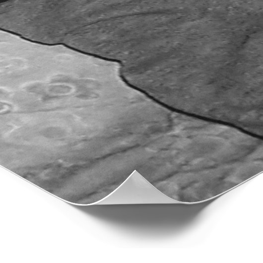 The Boys Poster (Hoek)