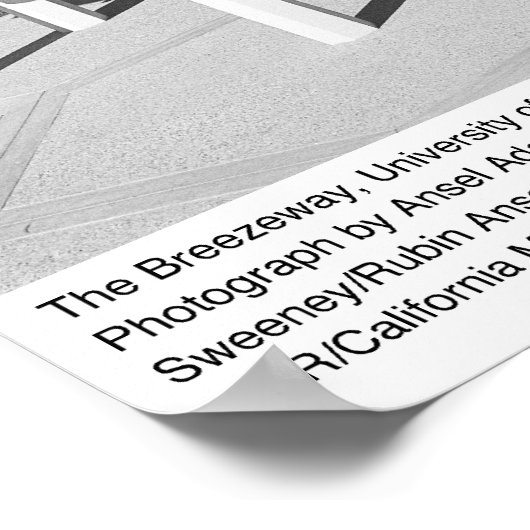 The Breezeway, UC San Diego, 1966 Poster (Hoek)