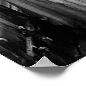 The Brides of Dracula 1931 Poster (Hoek)