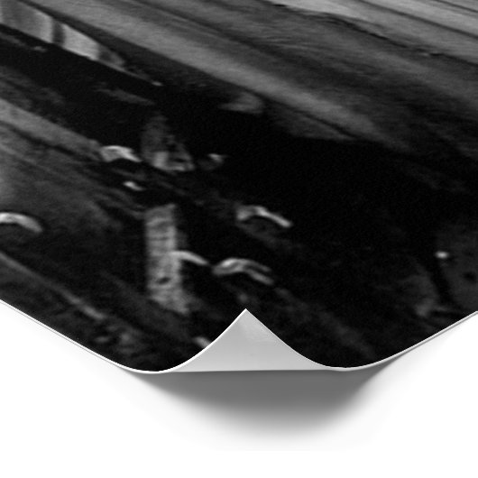 The Brides of Dracula 1931 Poster (Hoek)