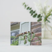 The Brood X Briefkaart (Staand voorkant)