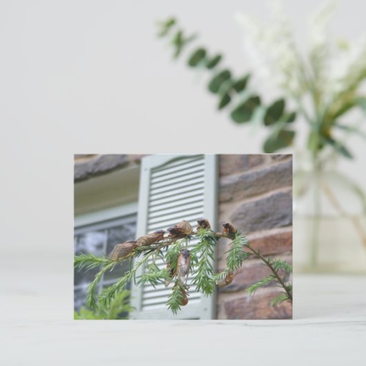 The Brood X Briefkaart (Staand voorkant)