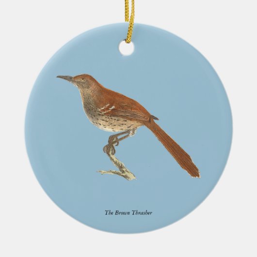 The Brown Thrush of Brown Thrasher, New York Birds Keramisch Ornament (Voorkant)