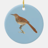 The Brown Thrush of Brown Thrasher, New York Birds Keramisch Ornament (Achterkant)