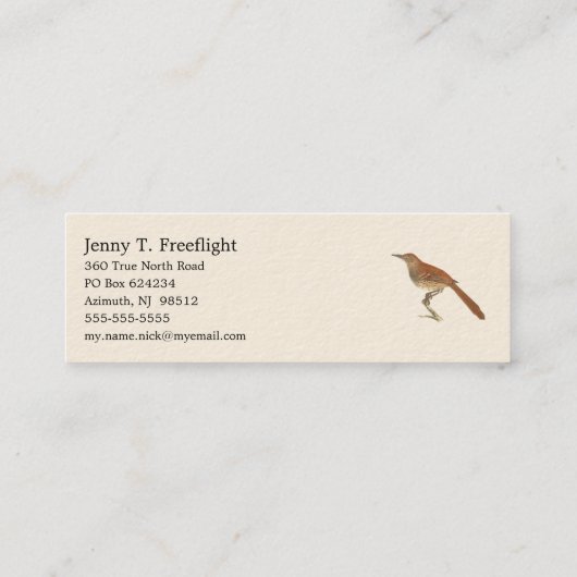 The Brown Thrush of Brown Thrasher, New York Birds Mini Visitekaartje (Achterkant)