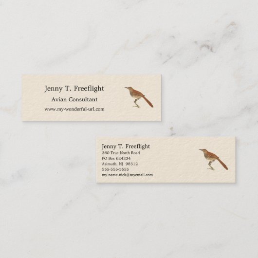 The Brown Thrush of Brown Thrasher, New York Birds Mini Visitekaartje (Voorkant / Achterkant)