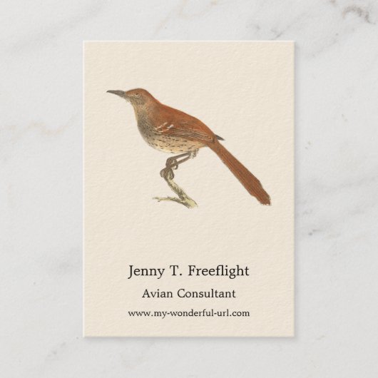 The Brown Thrush of Brown Thrasher, New York Birds Visitekaartje (Voorkant)