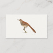The Brown Thrush of Brown Thrasher, New York Birds Visitekaartje (Achterkant)