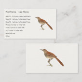 The Brown Thrush of Brown Thrasher, New York Birds Visitekaartje (Voorkant / Achterkant)