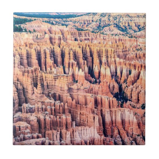 The Bryce Canyon National Park - Utah, VS Tegeltje (Voorkant)