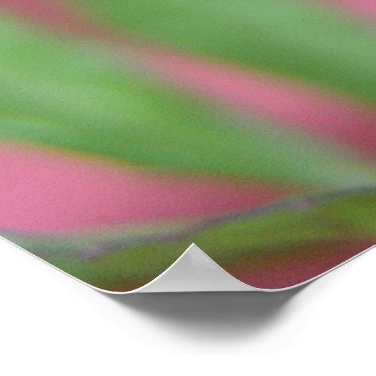 The Bud Poster (Hoek)