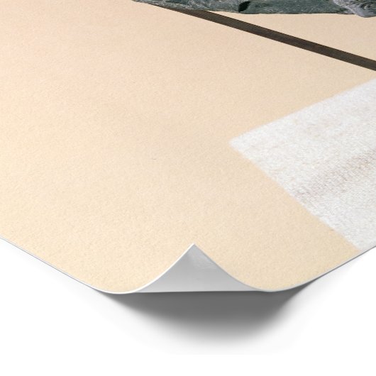 The Bull Palette, van Abydos, c.3500-3100 BC Poster (Hoek)