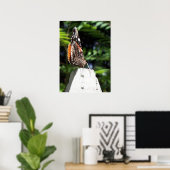 The Butterfly Post Poster (Thuiskantoor)