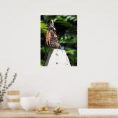 The Butterfly Post Poster (Keuken)