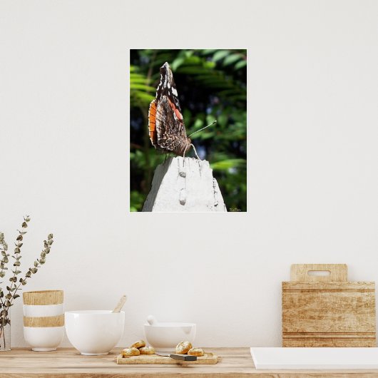 The Butterfly Post Poster (Keuken)