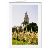 The California Tower (Voorkant)