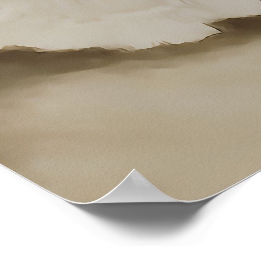 The Can" - de Art Deco-stijl van Louis Icart Poster (Hoek)