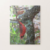 The Cardinas's Lunchtime - Backyard Bird Legpuzzel (Verticaal)