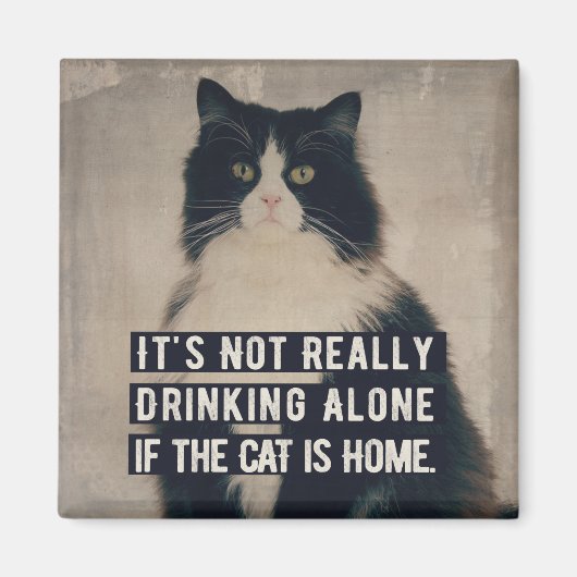 The cat magneet (Voorkant)