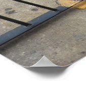 The Cat Prisoner Poster (Hoek)