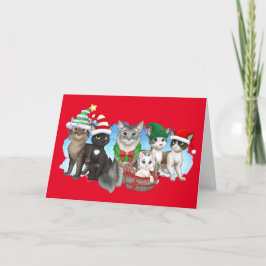 The Cats and Crew Christmas Kaart 5" x 7"