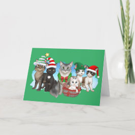 The Cats and Crew Christmas Kaart 5" x 7"