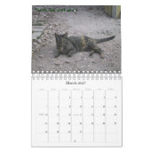 The Cats of Swede Hill, 2009 Kalender (Mar 2027)
