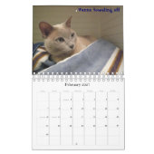 The Cats of Swede Hill, 2009 Kalender (Feb 2027)