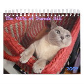 The Cats of Swede Hill, 2009 Kalender (Hoes)