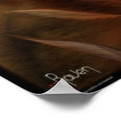 The Cave Poster (Hoek)