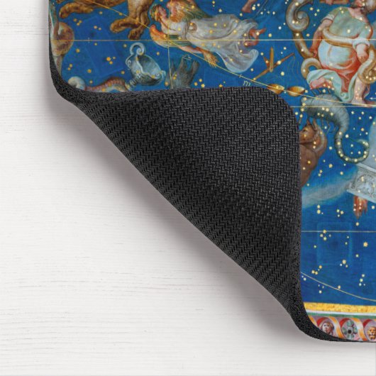 The Ceiling of the Sala Bologna, Celestial Map Muismat (Hoek)