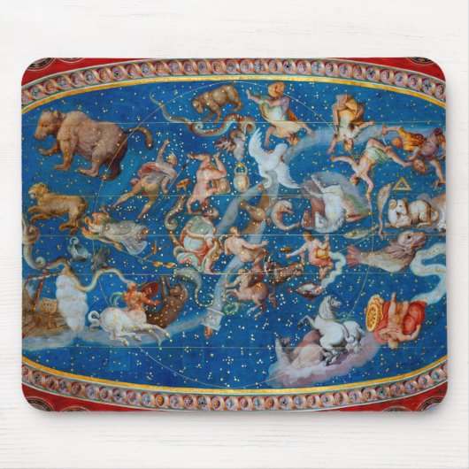 The Ceiling of the Sala Bologna, Celestial Map Muismat (Voorkant)