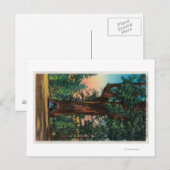 The Chandelier Tree, Underwood Park Briefkaart (Voorkant / Achterkant)