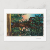 The Chandelier Tree, Underwood Park Briefkaart (Voorkant)