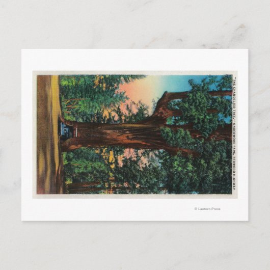 The Chandelier Tree, Underwood Park Briefkaart (Voorkant)