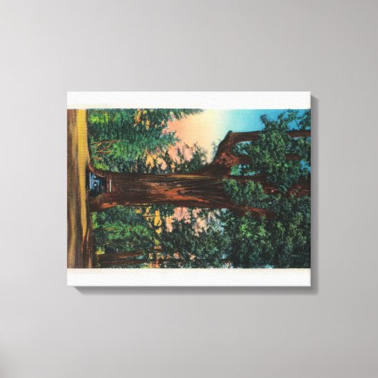 The Chandelier Tree, Underwood Park Canvas Afdruk (Voorkant)